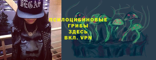 прущая мука Михайлов