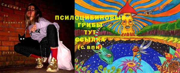 прущая мука Абдулино