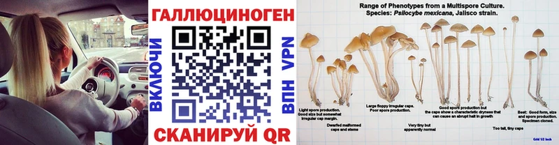 Галлюциногенные грибы MAGIC MUSHROOMS  Королёв 